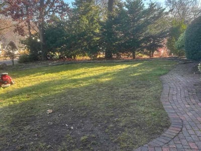 Leaf Removal service in Troy, 12180
