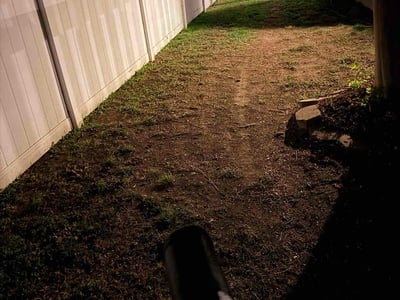 Leaf Removal service in The Villages, 32162