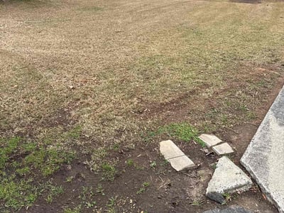 Leaf Removal service in Spartanburg, 29306