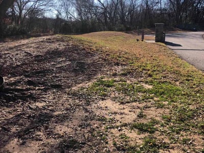 Leaf Removal service in Olive Branch, 38654