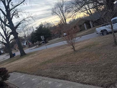 Leaf Removal service in Olive Branch, 38654