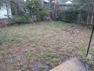 Leaf Removal service in Olive Branch, 38654