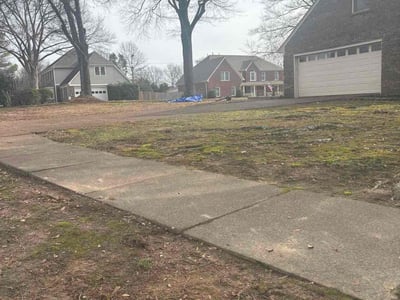 Leaf Removal service in Olive Branch, 38654