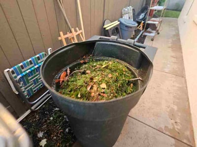 Leaf Removal service in Roseville, 95678
