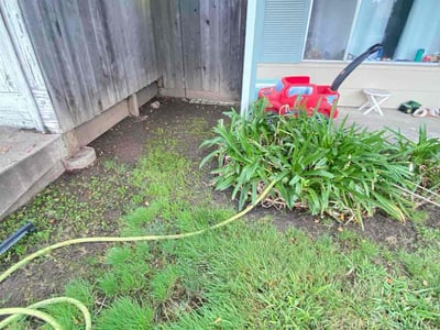 Leaf Removal service in Roseville, 95678