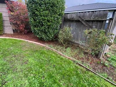Leaf Removal service in Roseville, 95678