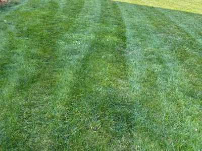 Leaf Removal service in Kansas City, 66101
