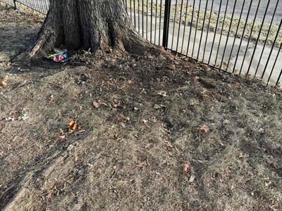 Leaf Removal service in Kansas City, 66101
