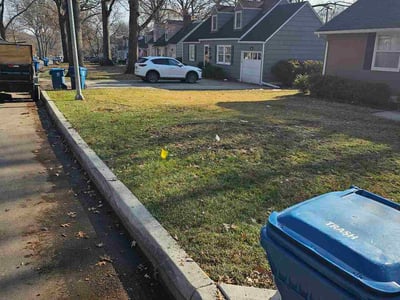 Leaf Removal service in Kansas City, 66101