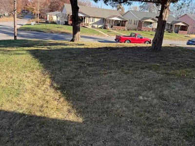 Leaf Removal service in Kansas City, 66101