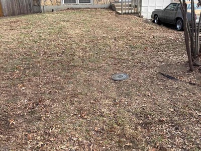 Leaf Removal service in Kansas City, 66101