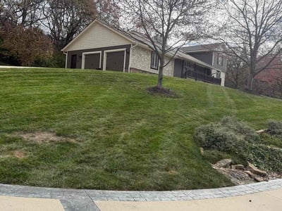 Leaf Removal service in Kansas City, 66101