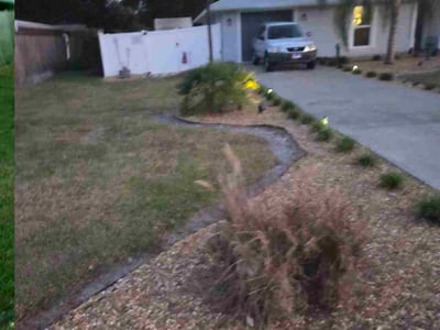 Leaf Removal service in DeLand, 32720