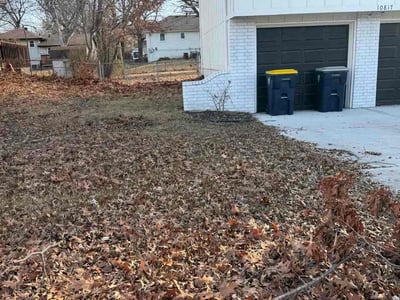 Leaf Removal service in Independence, 64050