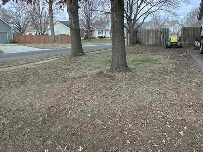 Leaf Removal service in Independence, 64050