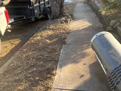 Leaf Removal service in Independence, 64050