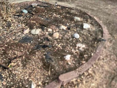Leaf Removal service in Fort Collins, 80521