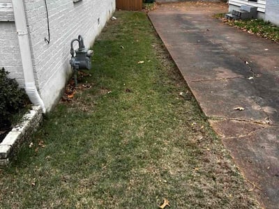 Leaf Removal service in Bartlett, 38134