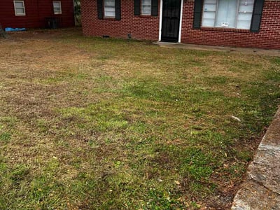 Leaf Removal service in Bartlett, 38134