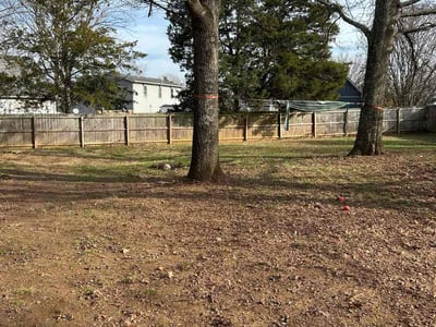 Leaf Removal service in Bartlett, 38134
