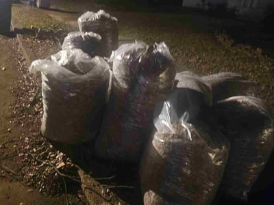 Leaf Removal service in Bartlett, 38134