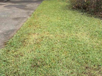 Leaf Removal service in Bartlett, 38134
