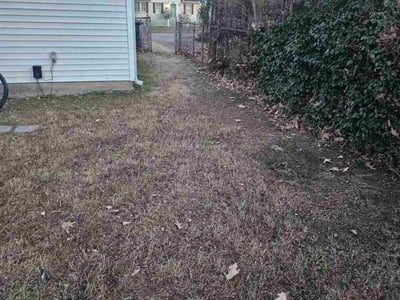 Leaf Removal service in Bartlett, 38134