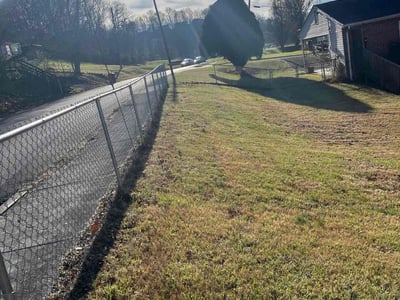 Leaf Removal service in Bartlett, 38134