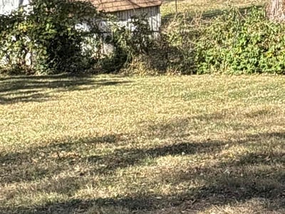 Leaf Removal service in Belton, 64012