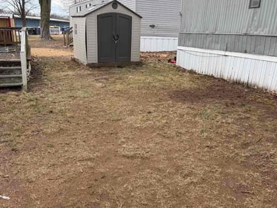 Leaf Removal service in Belton, 64012