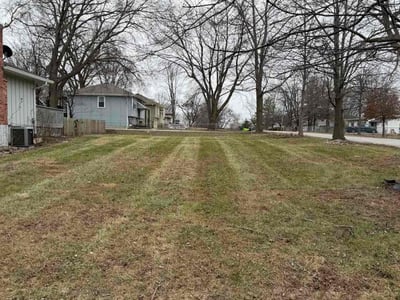 Leaf Removal service in Belton, 64012