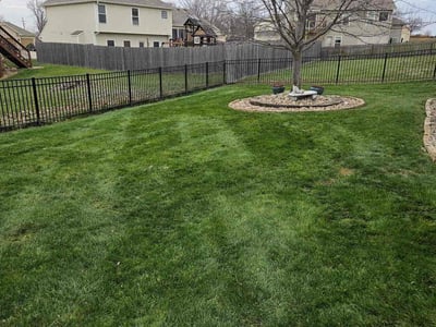 Leaf Removal service in Belton, 64012