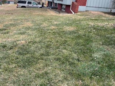 Leaf Removal service in Belton, 64012