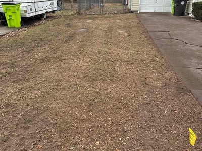 Leaf Removal service in Belton, 64012