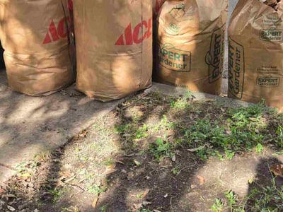 Leaf Removal service in Azle, 76020