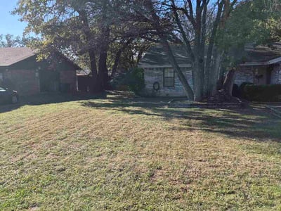 Leaf Removal service in Azle, 76020