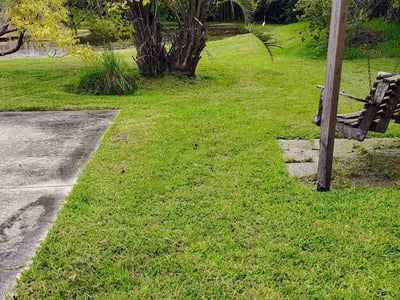 Lawn Care service in North Miami Beach, 33162