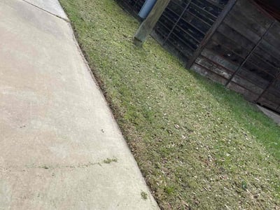 Lawn Care service in Ellington, 06029