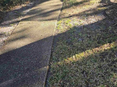 Leaf Removal service in The Villages, 32162
