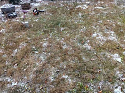 Leaf Removal service in Portland, 4101