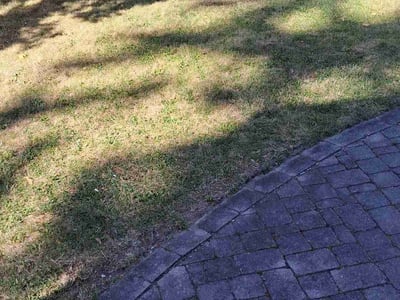 Leaf Removal service in Greece, 14626