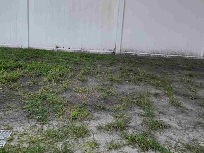 Leaf Removal service in Kissimmee, 34741