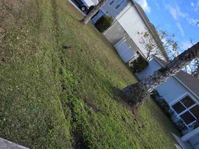 Leaf Removal service in Kissimmee, 34741