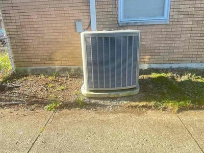 Lawn Care service in Kent, 98032