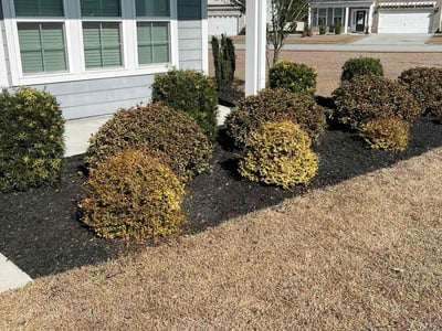 Leaf Removal service in Warner Robins, 31088