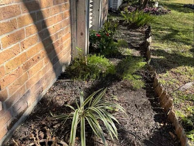 Leaf Removal service in Temple, 76501