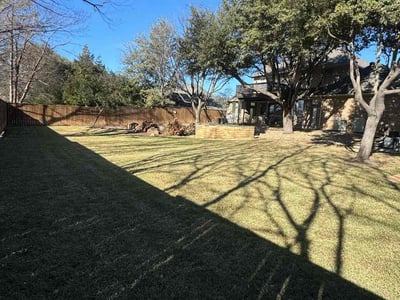 Leaf Removal service in North Richland Hills, 76180