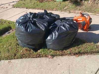 Leaf Removal service in North Richland Hills, 76180
