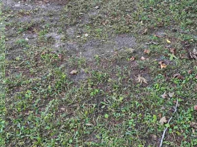 Leaf Removal service in Milton, 32570