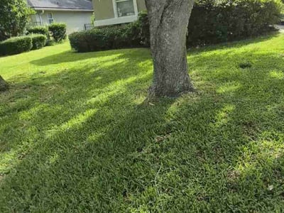 Lawn Care service in Charlestown, 02813